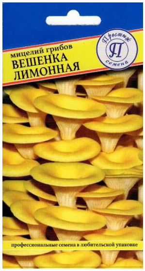 Вешенка Лимонная 12 палочек Ц (Престиж Семена) Ц Мицелий грибов