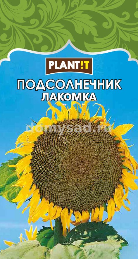 Подсолнечник Лакомка (PLANT!T) Ц
